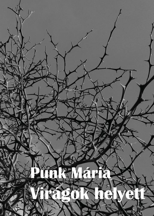 Punk Mária: Virágok helyett